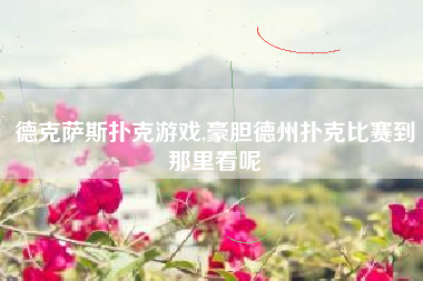 德克萨斯扑克游戏,豪胆德州扑克比赛到那里看呢