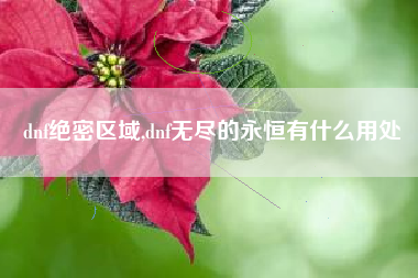 dnf绝密区域,dnf无尽的永恒有什么用处