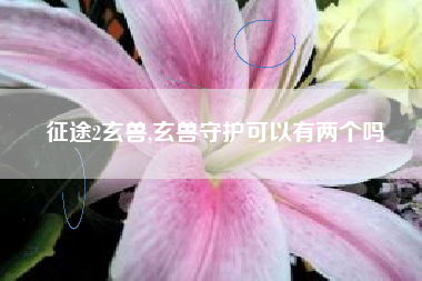 征途2玄兽,玄兽守护可以有两个吗