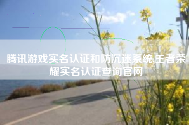 腾讯游戏实名认证和防沉迷系统,王者荣耀实名认证查询凯发k8官网