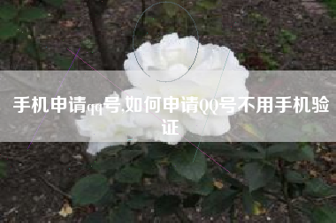 手机申请qq号,如何申请qq号不用手机验证