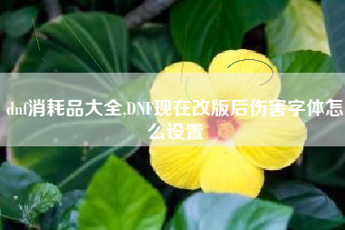 dnf消耗品大全,dnf现在改版后伤害字体怎么设置
