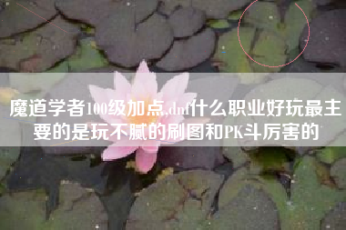 魔道学者100级加点,dnf什么职业好玩最主要的是玩不腻的刷图和pk斗厉害的