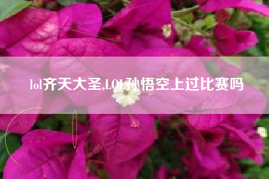 lol齐天大圣,lol孙悟空上过比赛吗