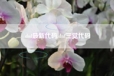 dnf最新代码,dnf三觉代码
