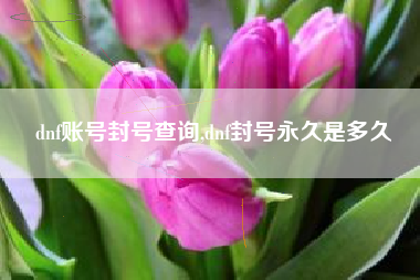 dnf账号封号查询,dnf封号永久是多久