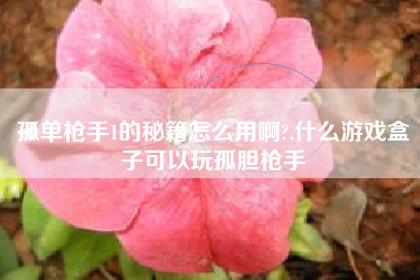 孤单枪手1的秘籍怎么用啊?,什么游戏盒子可以玩孤胆枪手