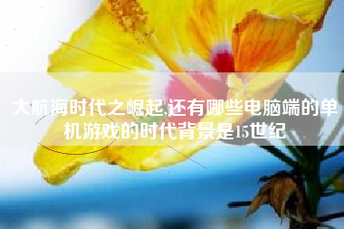 大航海时代之崛起,还有哪些电脑端的单机游戏的时代背景是15世纪