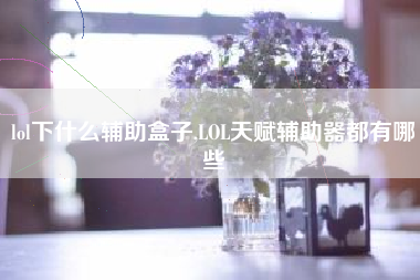 lol下什么辅助盒子,lol天赋辅助器都有哪些