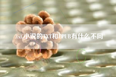 .txt,小说的txt和epub有什么不同 .txt,小说的txt和epub有什么不同