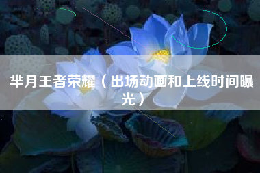 芈月王者荣耀（出场动画和上线时间曝光）