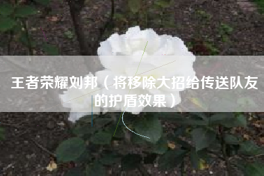 王者荣耀刘邦（将移除大招给传送队友的护盾效果）