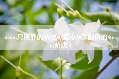 steam只用肝的游戏（盘点10款耐玩的steam游戏）