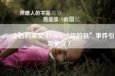 csgo小透的英文（csgo:“你的包”事件引发争议）