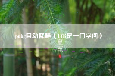 pubg自动降噪（lyb是一门学问）