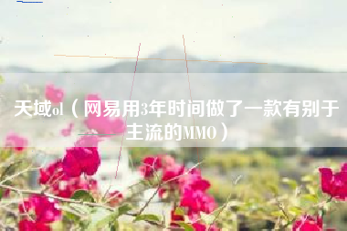 天域ol（网易用3年时间做了一款有别于主流的mmo）