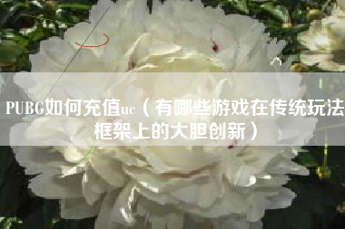 pubg如何充值uc（有哪些游戏在传统玩法框架上的大胆创新）