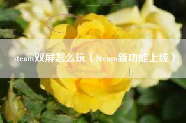 steam双屏怎么玩（steam新功能上线）