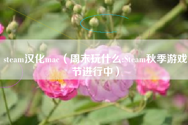 steam汉化mac（周末玩什么:steam秋季游戏节进行中）